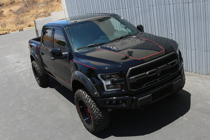 APR Ford F-150 Raptor Hood Vent (2017-2020)