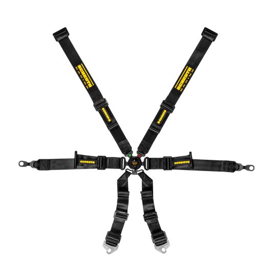 Schroth Porsche GT3 Profi II 2x2 Racing Harness for Carbon Bucket Seats